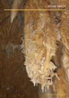 caving in samar1 (5)